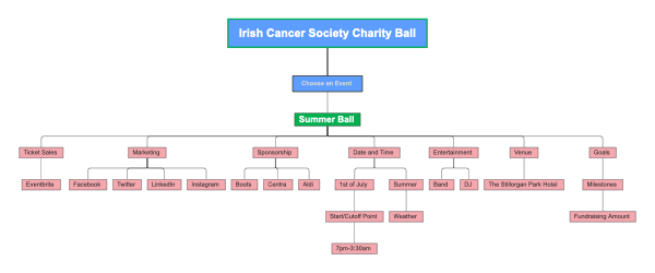 A Night at the Irish Cancer Society Charity Ball