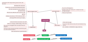 Patient Care Mind Map