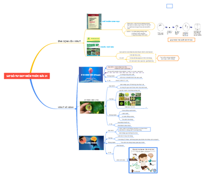 Sơ đồ tư duy Kiến thức bài 31: Virus kí sinh
