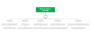 Network Topologies: Choosing the Right Structure