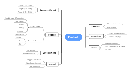 Product Launch Strategy: Market Segmentation and Development