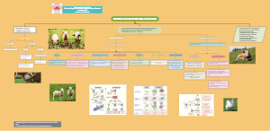 SISTEMA INMUNE DE LOS ANIMALES