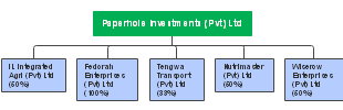 Corporate Structure and Subsidiary Relationships of Paperhole Investments (Pvt) Ltd