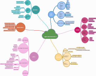 Organizational behavior