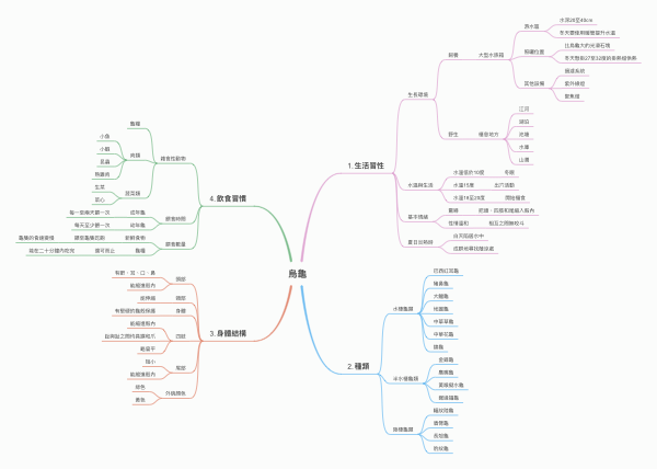 乌龟——全方位信息导图