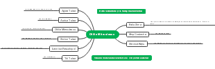 Audilia Marculescu Behaviorism Mind Map