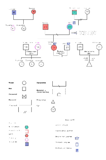 Family Health and Relationship History Diagram