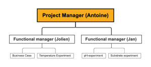 Project Management: Structuring for Success