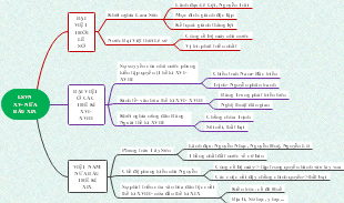 LSVN XV-NỮA ĐẦU XIX