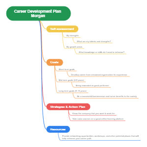 Career development plan