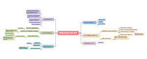 Mind Map Of Nursing Care Plan