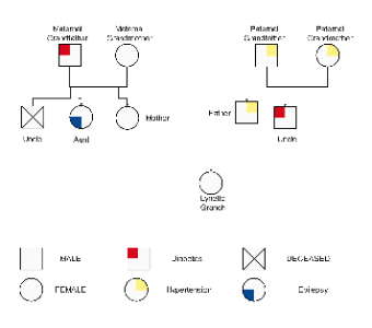 Family Medical History Pedigree Chart Template