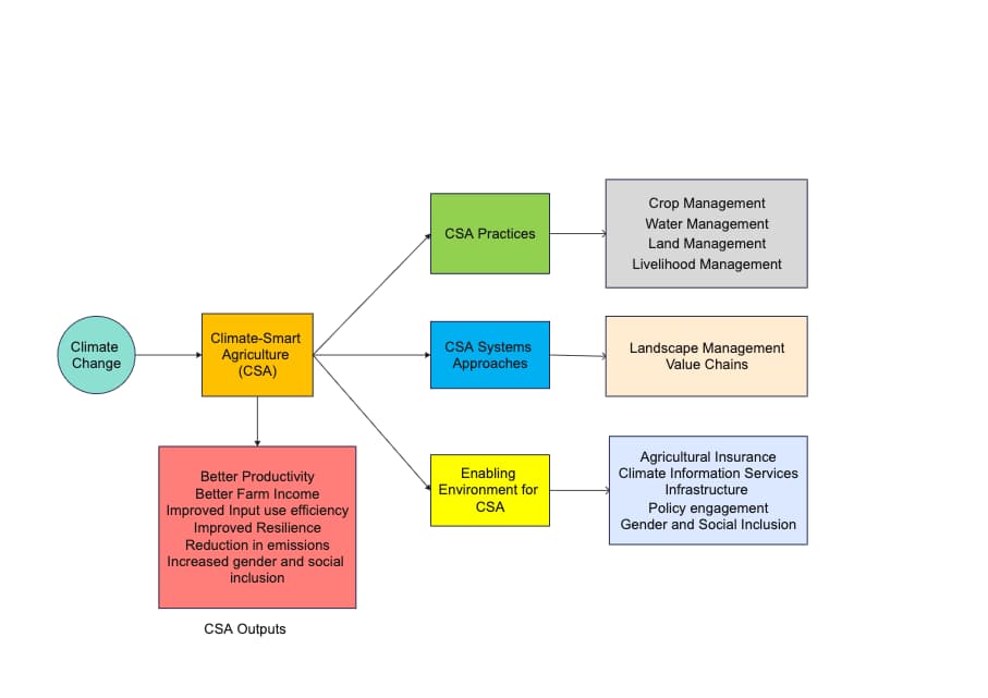 CSA Framework