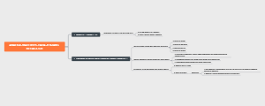 Mind map of IPS materials