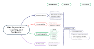 Segmentation, targeting, and positioning