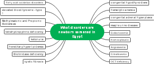 Comprehensive Newborn Screening in Egypt