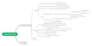 Những Bông Hoa Nở