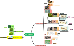 Animal mind maps