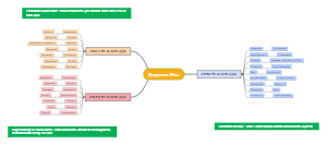 Дарунки Літа: Овочі та їх кольори, Ягоди та їх кольори, Квіти та їх кольори