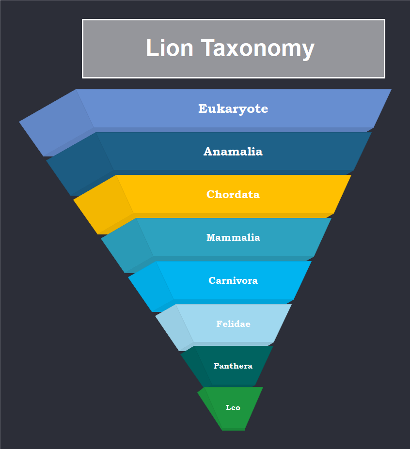 Lion Taxonomy