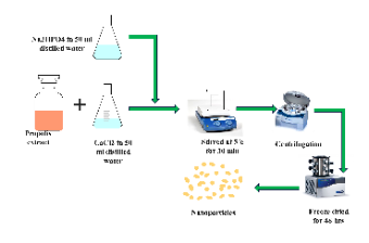 Propolis Nanoparticle Synthesis Process Flowchart Template