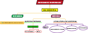 ENTIDADES NATURALES