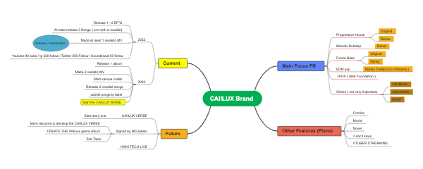 CAIILUX品牌——当前、未来及宣传策略规划