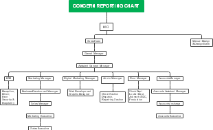 Optimized Concern Reporting Structure for Efficient Organizational Communication