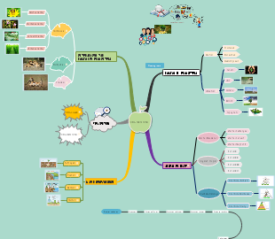 Mind Map of EKOSISTEM