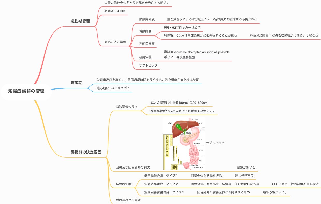 短腸症候群の管理