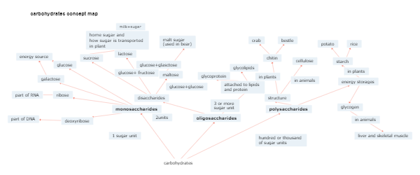 Carbohydrates Explained: A Comprehensive Concept Map