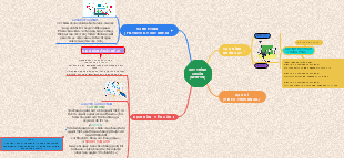 QUY TRÌNH CHUẨN (NERF VN)