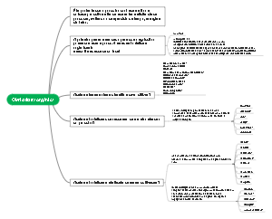 Olericultura orgânica
