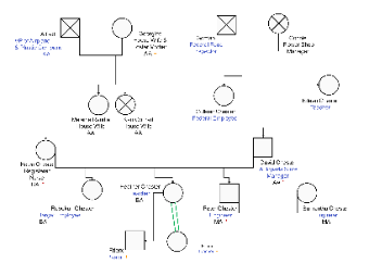 Chester Family Career and Education Genogram