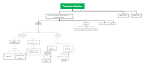 Evolución histórica de la contabilidad