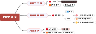 2022 목표