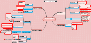 Animal tissues