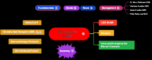 Hemogenyx Hemo 