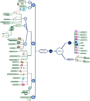 Tarea 1 Biologia Mapa conceptual Función y Forma celular