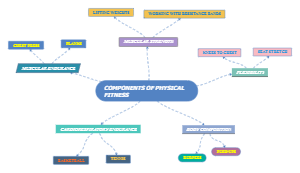 Components of Physical Fitness