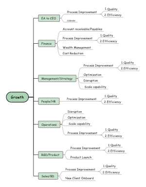 Business Growth Strategies 