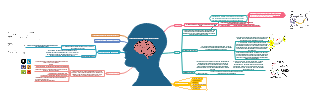 Perspectiva fisiologíca: Comunicación neuronal 