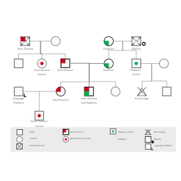 Family Health History Pedigree Chart Template