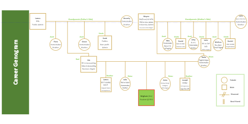 Comprehensive Career Genogram Template for Family Career Mapping and Analysis