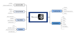 The pair: Analyse van Schoenwinkel