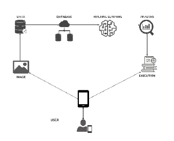 Data Flow Analysis Network Diagram