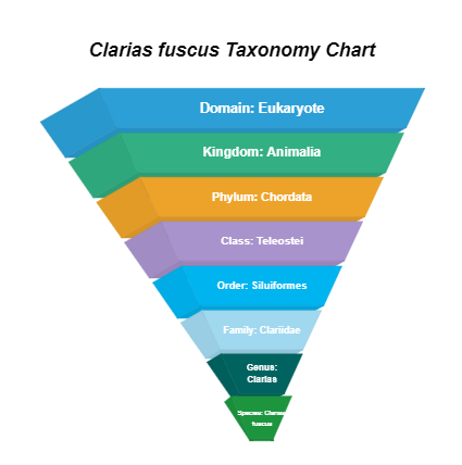 Clarias Fuscus Taxonomy Chart Template