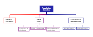 Essential Components of Population Genetics