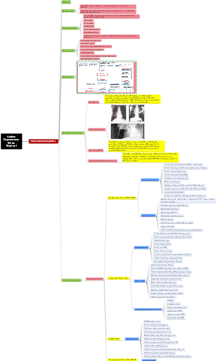 Pulmonary Tuberculosis