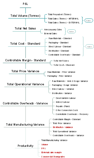 Detailed P&L Statement Breakdown